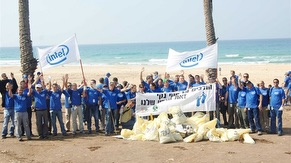 Seashore Cleaning